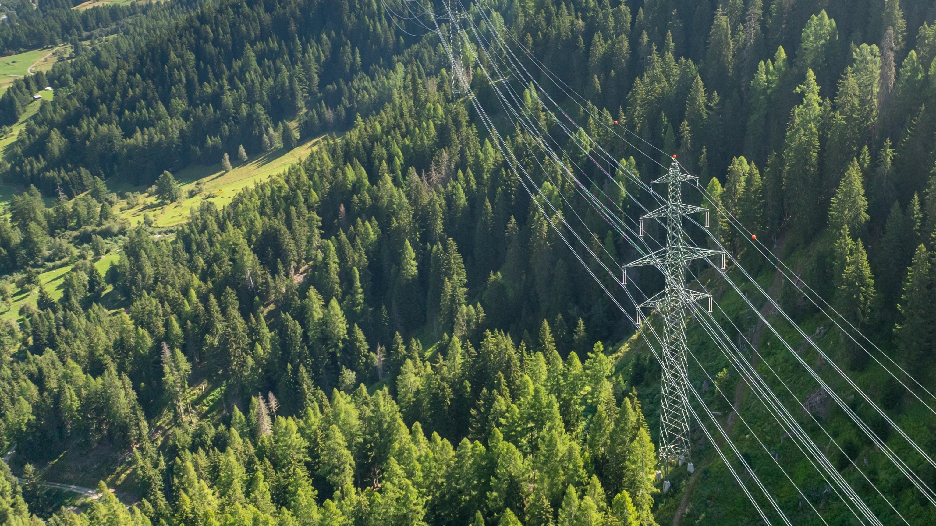 Overhead line with a lattice tower in a mountain forest